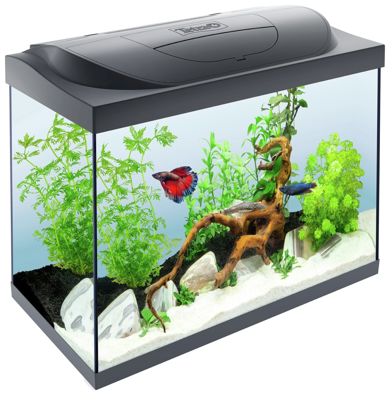 plastic fish tank argos