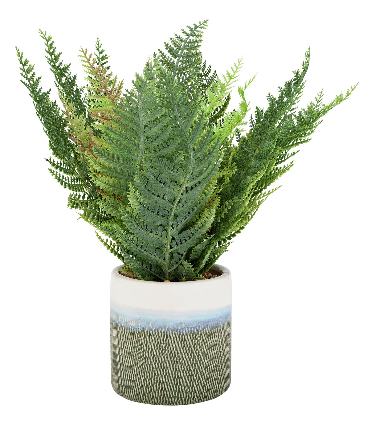 Argos Home Highlands Faux Fern Plant