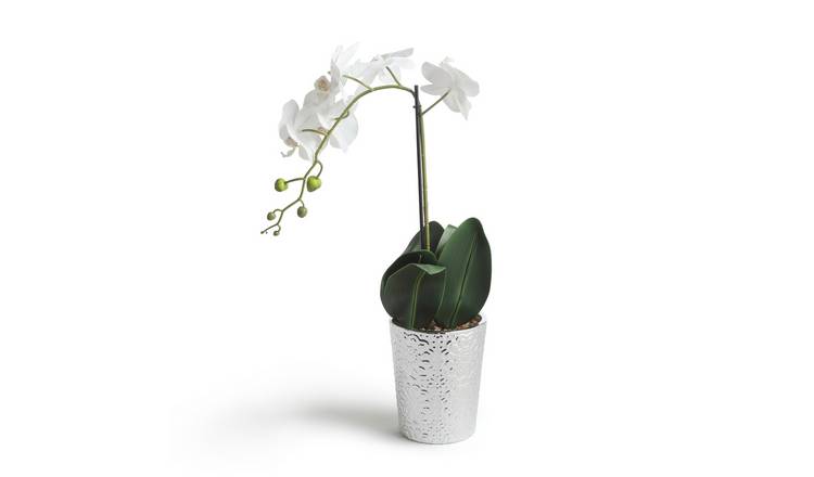Argos Home Large Artificial Orchid