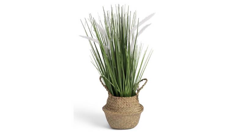 Buy Habitat Artificial Large Faux Floral Pampas in Woven Basket