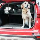 Argos universal sale dog guard