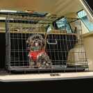 Dog cage for car hotsell boot argos