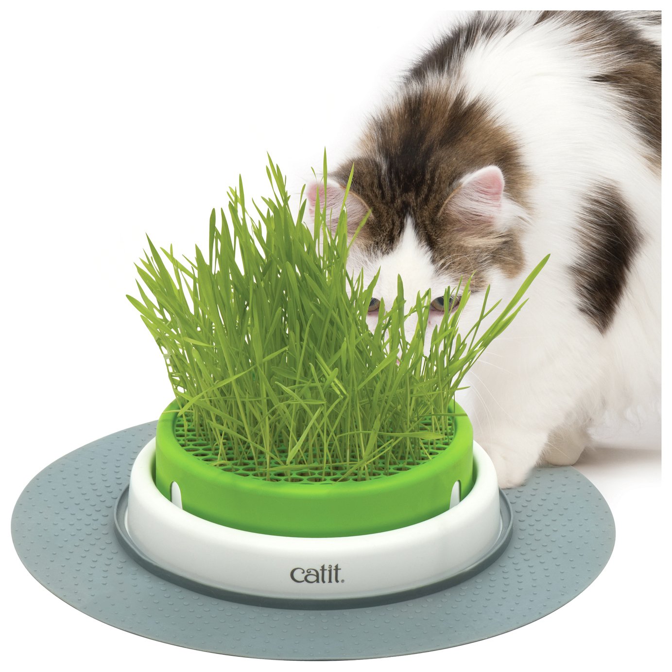 Catit Senses Grass Planter Review