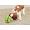 JML Wobble Wag Giggle Ball Dog Toy