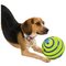 JML Wobble Wag Giggle Ball Dog Toy