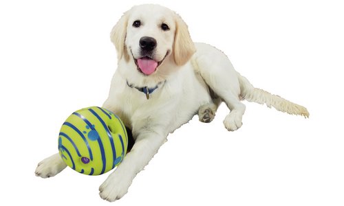 JML Wobble Wag Giggle Ball Dog Toy