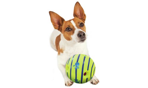 JML Wobble Wag Giggle Ball Dog Toy