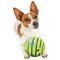 JML Wobble Wag Giggle Ball Dog Toy