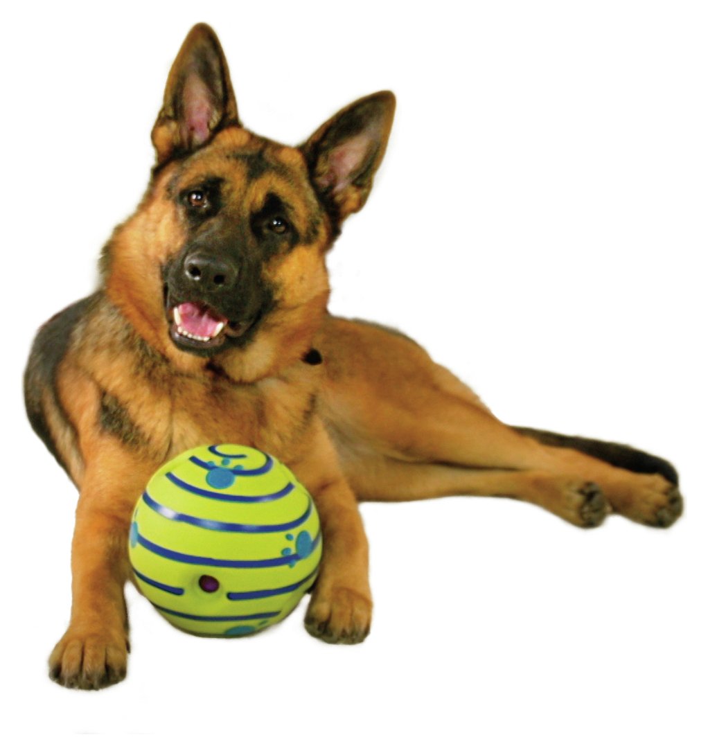 wobble wag giggle ball petsmart