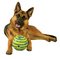 JML Wobble Wag Giggle Ball Dog Toy