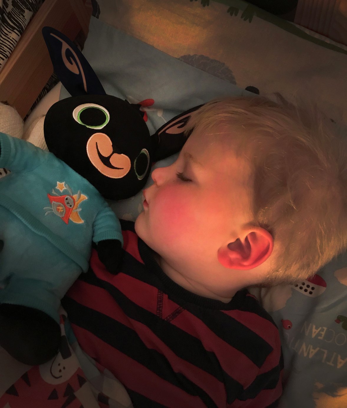 Bedtime Bing with Music and Phrases Soft Toy Review