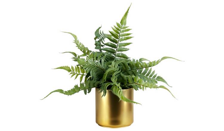 Artificial plants online argos