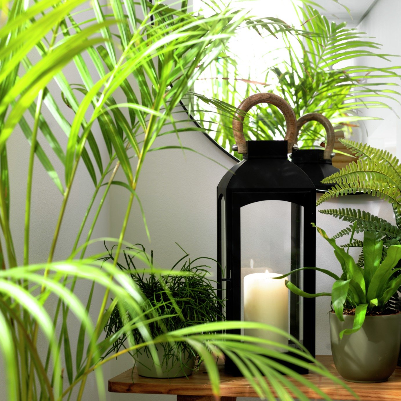 Habitat Black Finish Medium Lantern