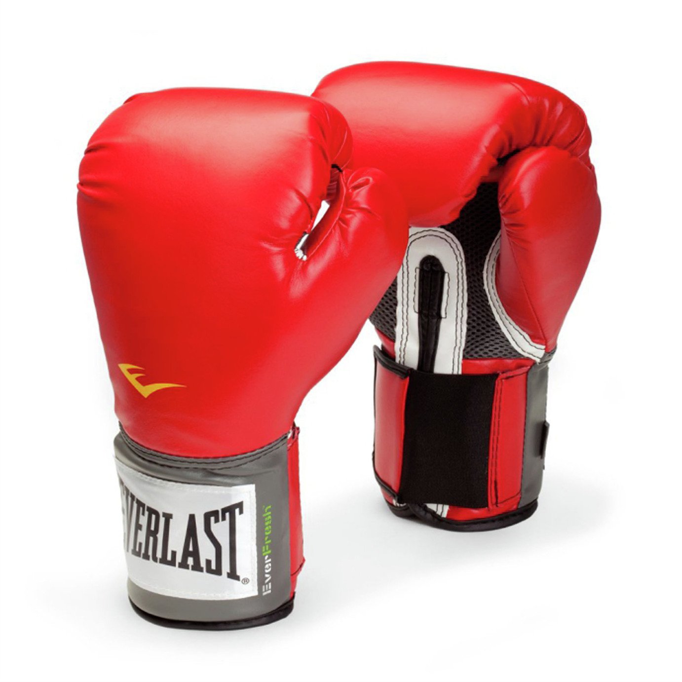 everlast junior punch bag