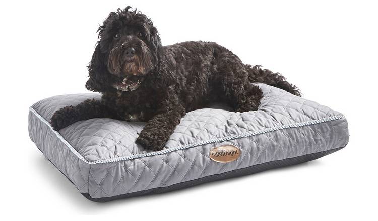 Puppy best sale beds argos