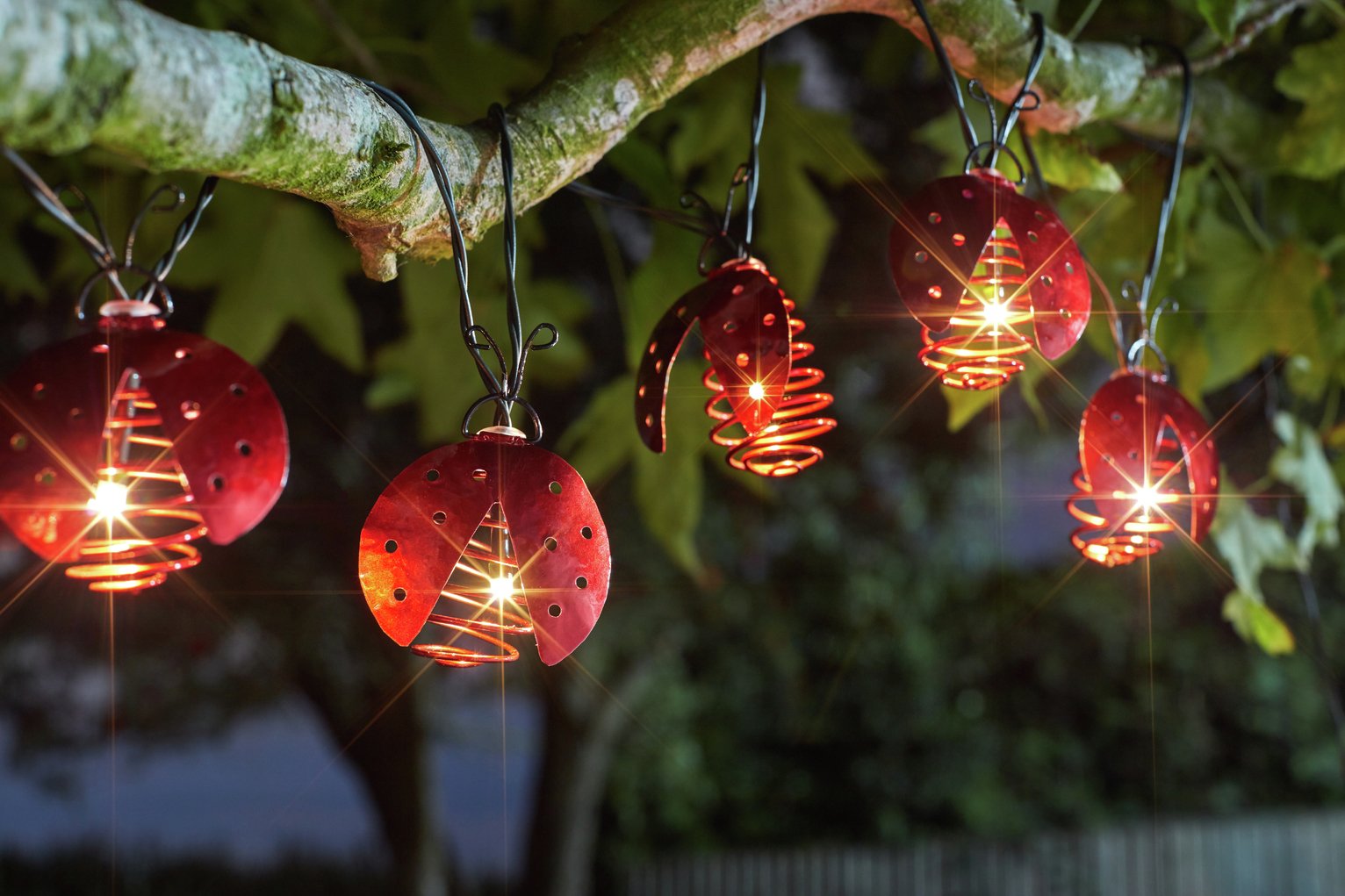 Garden by Sainsbury's Ladybird Solar String Lights