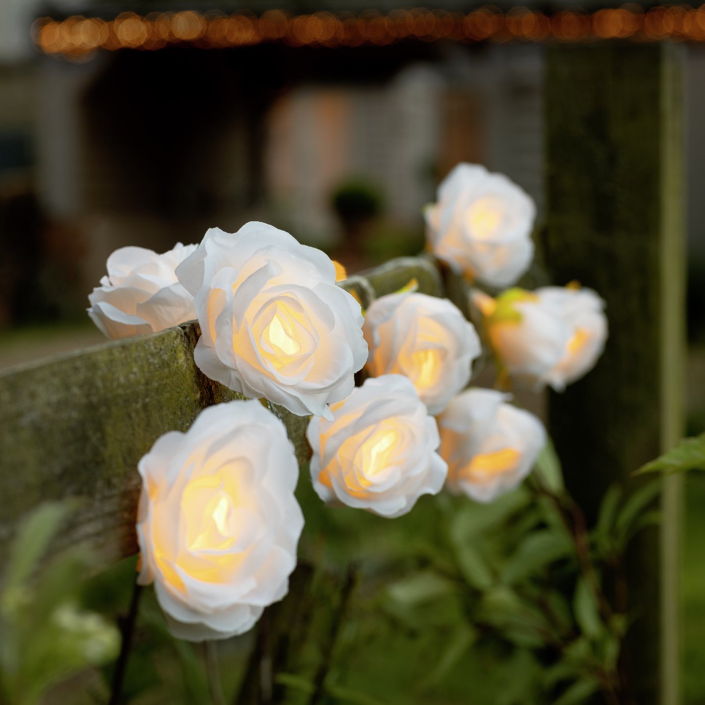 Habitat Warm White Solar Rose LED String Lights