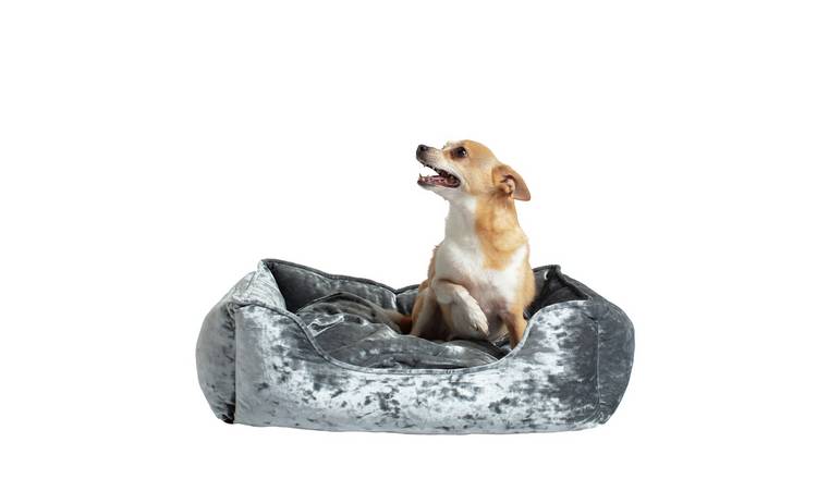 Silver velvet dog clearance bed