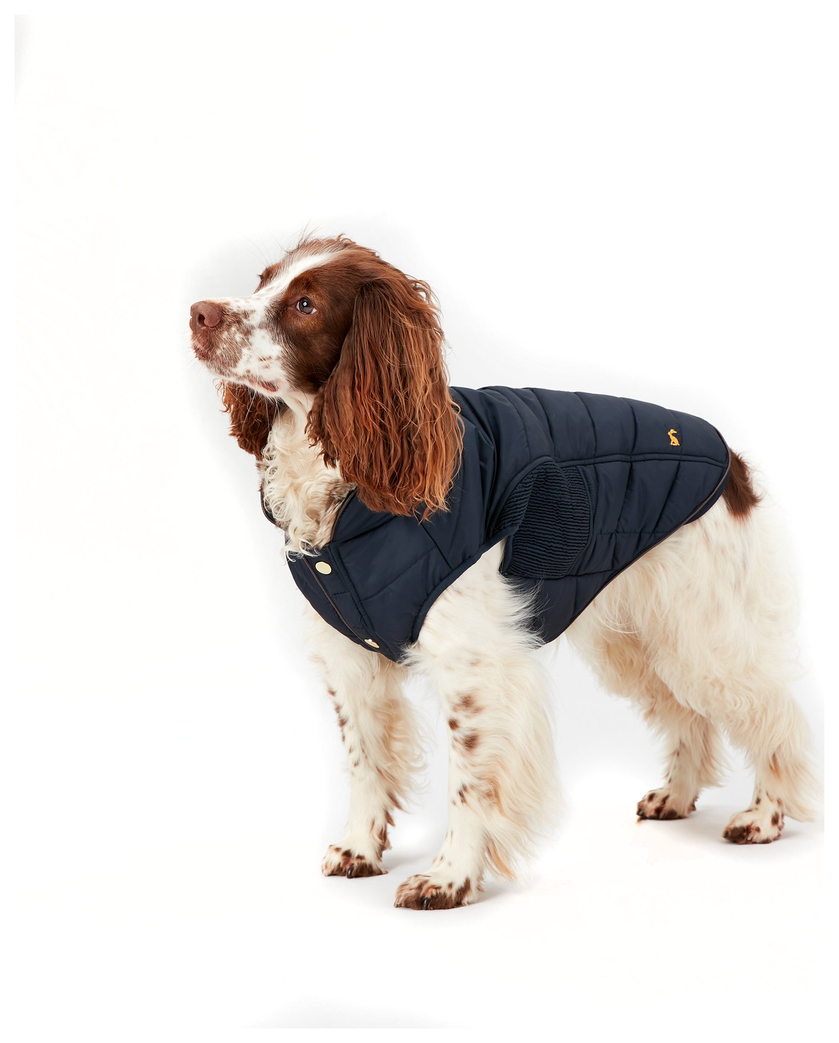 Joules Cherrington Navy Dog Coat - Medium