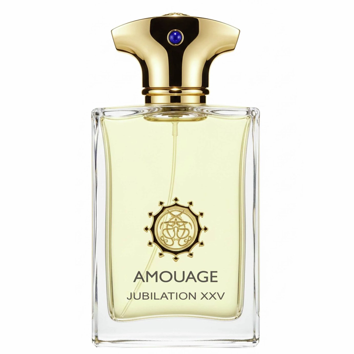Buy Amouage Jubilation XXV Man Eau De Parfum - 100ml | Perfume | Argos