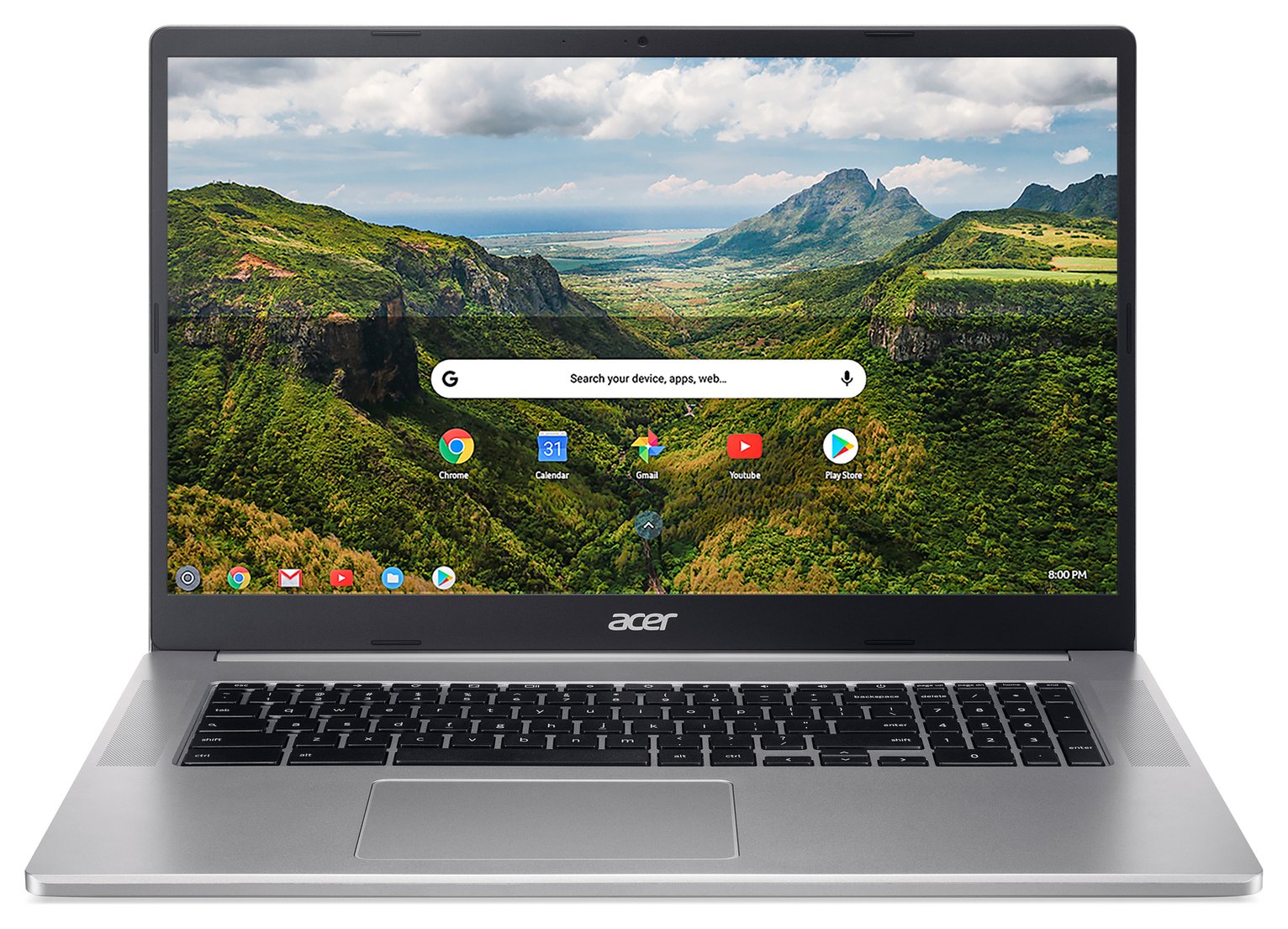 Acer 317 17.3in Pentium 4GB 128GB Chromebook - Silver