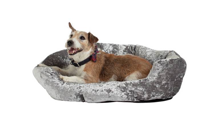 Large plastic best sale dog bed argos