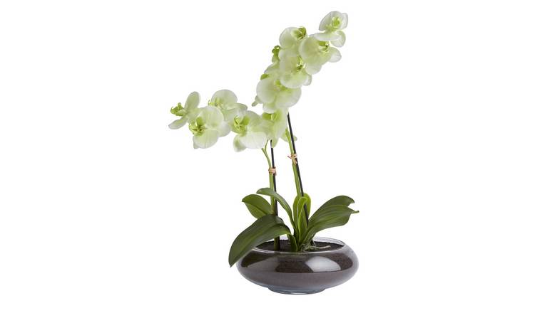 Buy Habitat Large Faux Orchid in Glass Pot - White | Artificial flowers ...