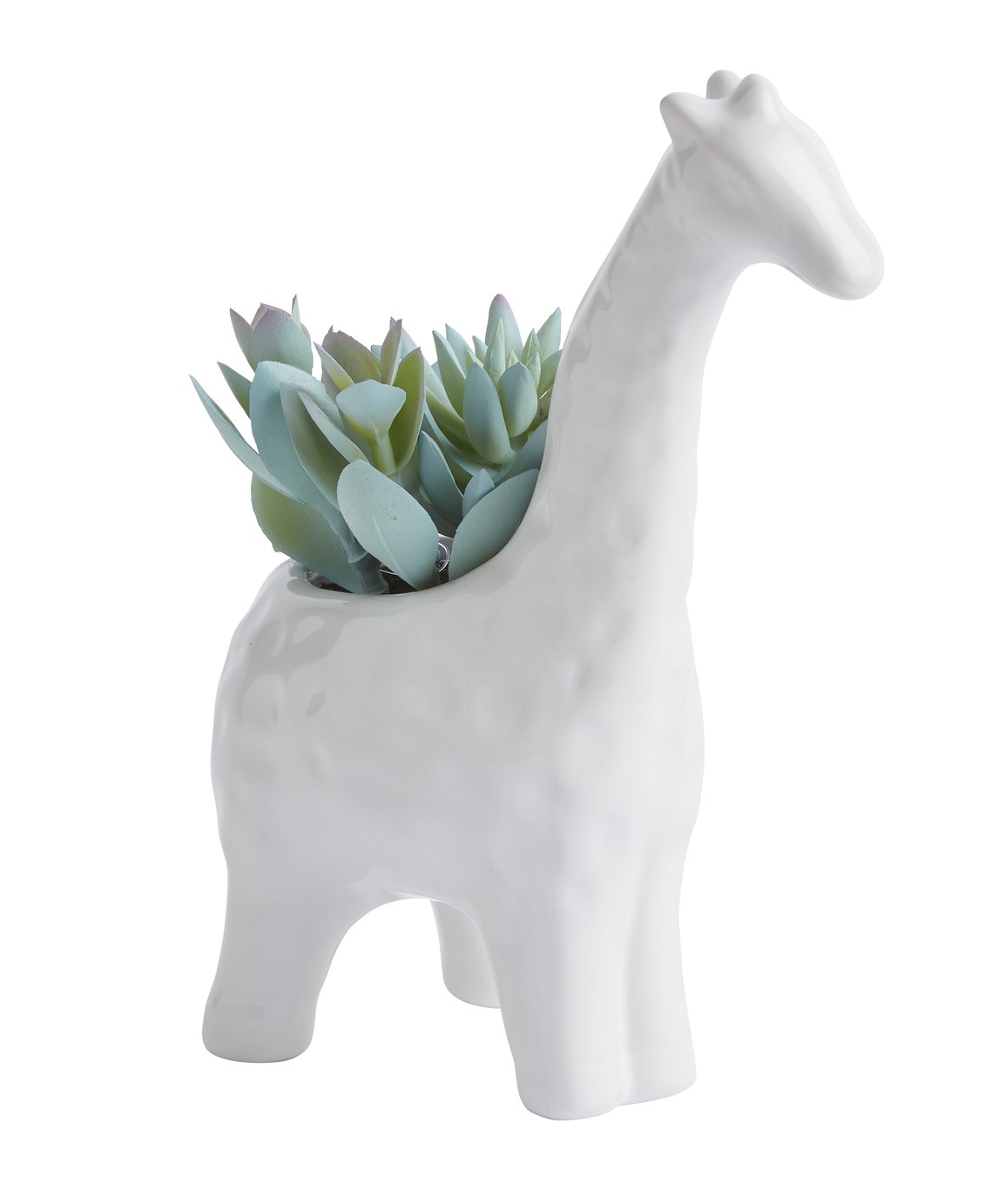 Habitat Ceramic Giraffe Faux Succulent - White