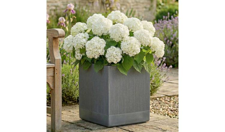 Dibor X-Large Fibre Clay Outdoor Garden Planter – Slate Grey