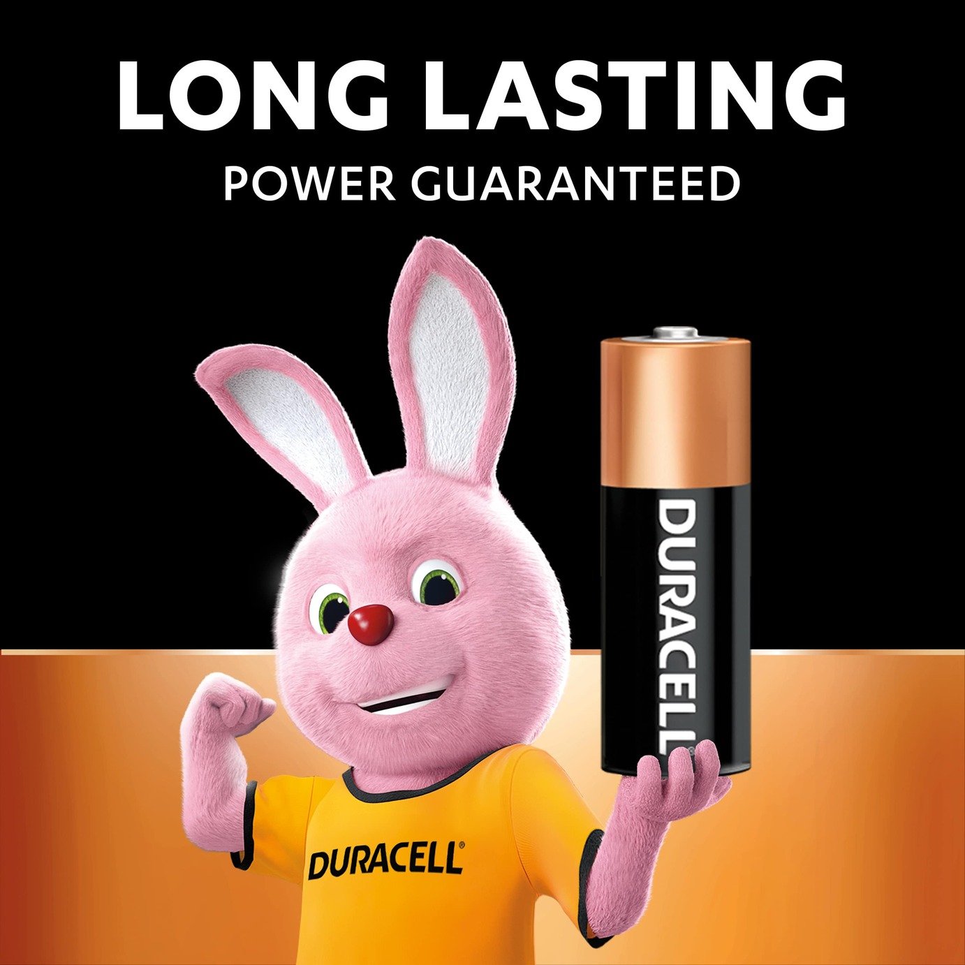 Duracell Specialty Alkaline MN21 Battery 12V Review