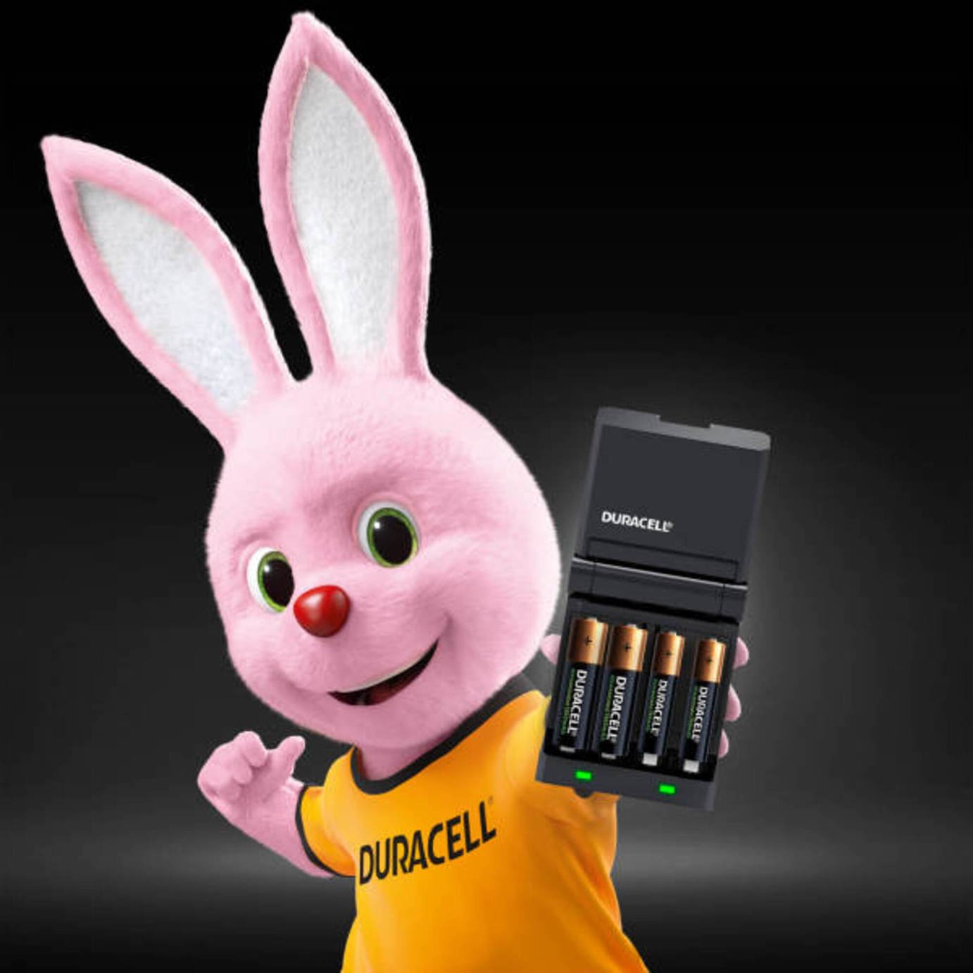 Duracell 45 Minutes Battery Charger with 2 AA and 2 AAA Reviews