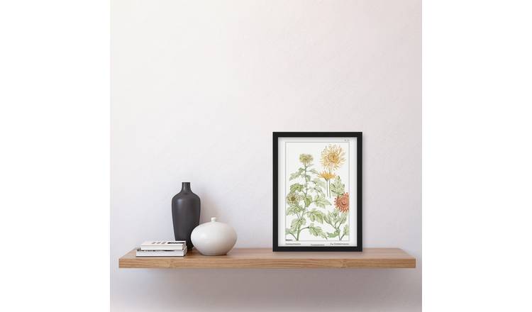 Maurice Pillard Verneuil Chrysanthemum Flower Framed Art Print - A4