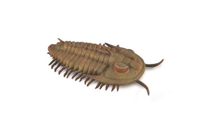 CollectA Redlichia Rex Trilobite - 3 Years +