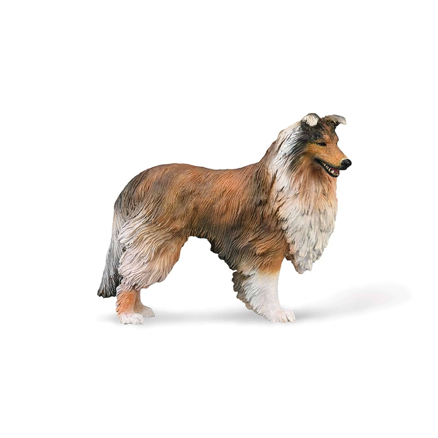 CollectA Rough Collie - 3 Years + - Image 1