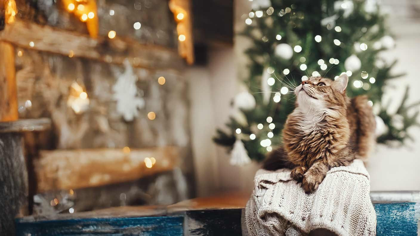 room set showing a christmas tree and decorations with a cat in the foreground