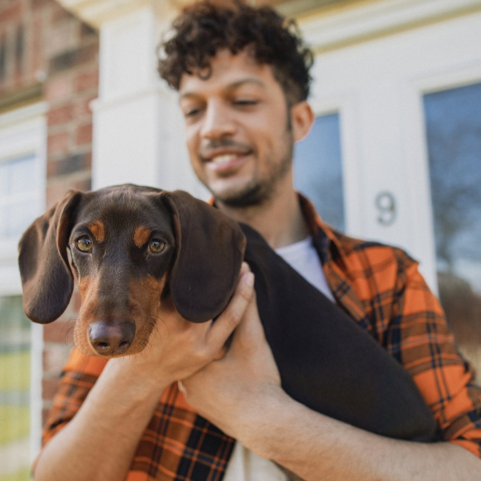 New home for dog