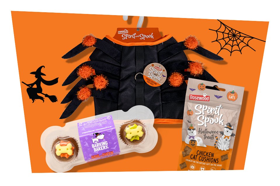 Shop Halloween pet.