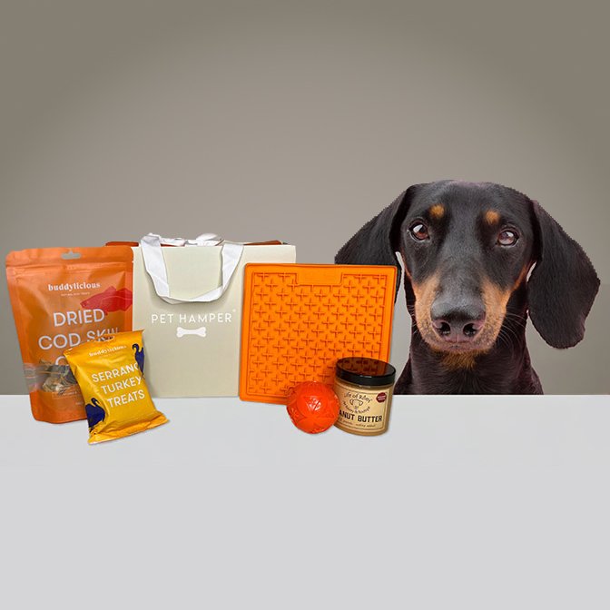 Pet with Hamper