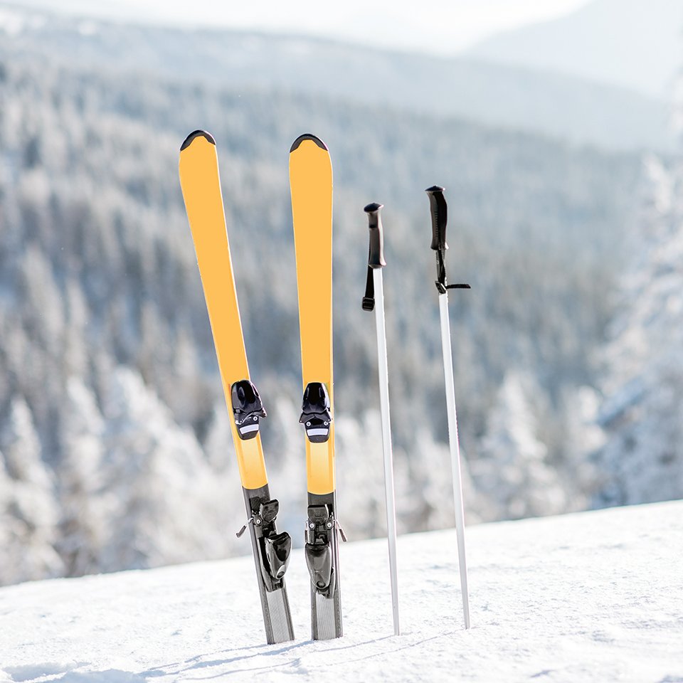 Winter sports cover