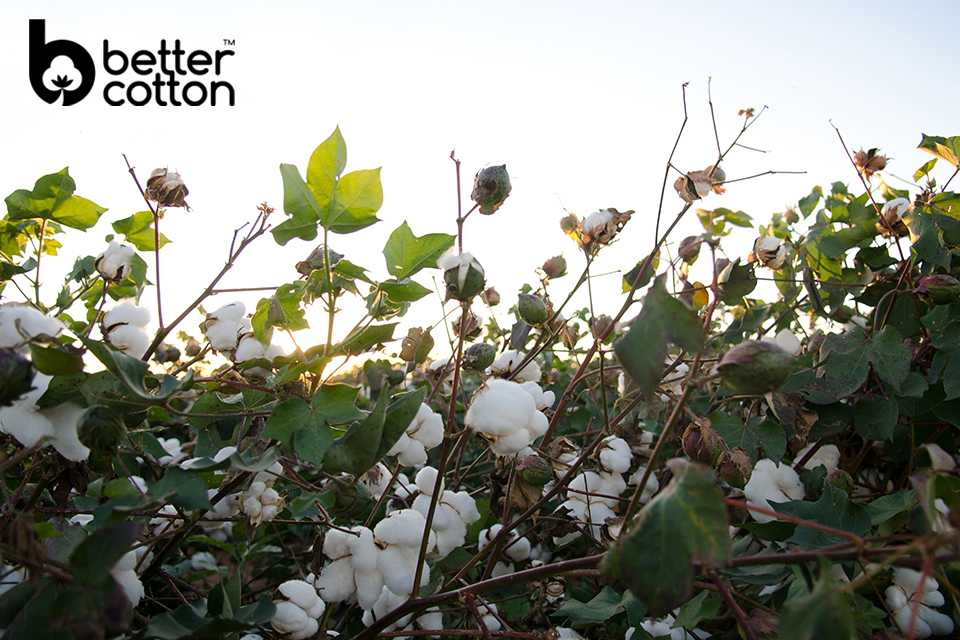 Better Cotton Initiative 