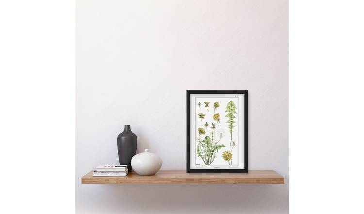 Maurice Pillard Verneuil Dandelion Flower Plant Framed Art Print - A4
