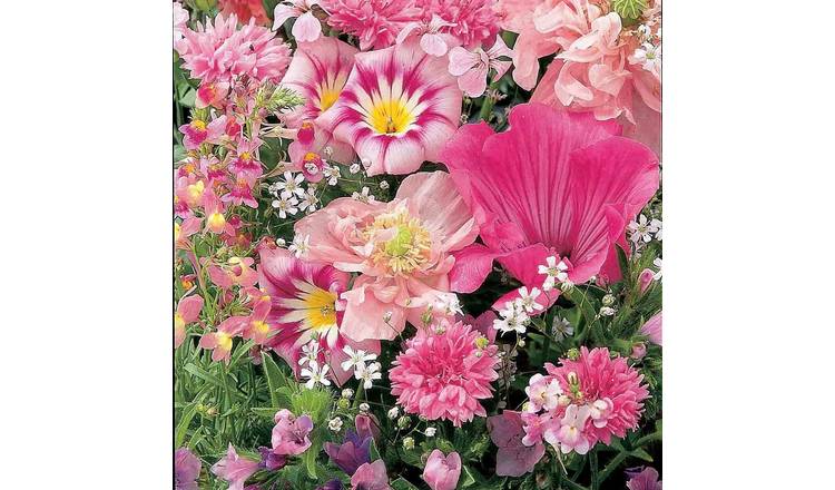 Unwins Mixed Annuals Seeds 'Sea Of Pink' - 1g