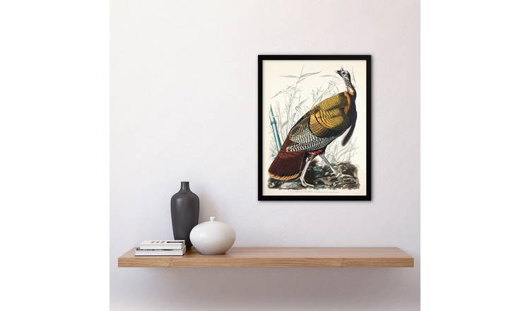 John James Audubon Birds Of America Wild Turkey Framed Art Print - A3
