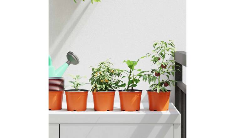 Walplus Pack of 100 Plastic Round Plant Pot - Terracotta - 10 x 10 x 8 cm