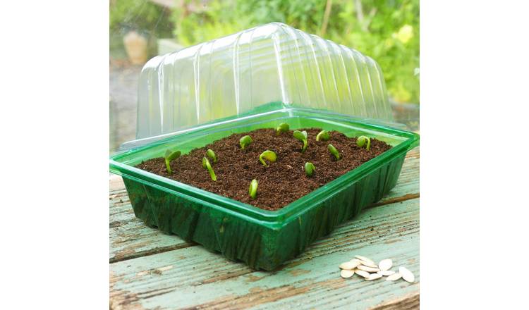 Westland Gro-Sure Visiroot Half Seed Trays - Pack Of 8