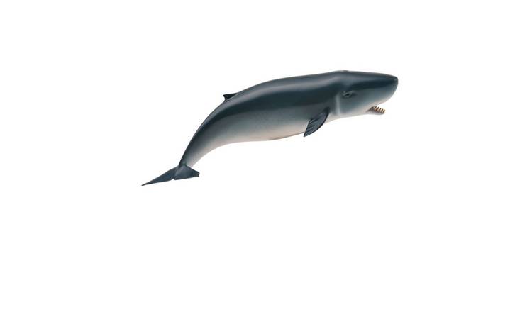 CollectA Pygmy Sperm Whale - 3 Years +
