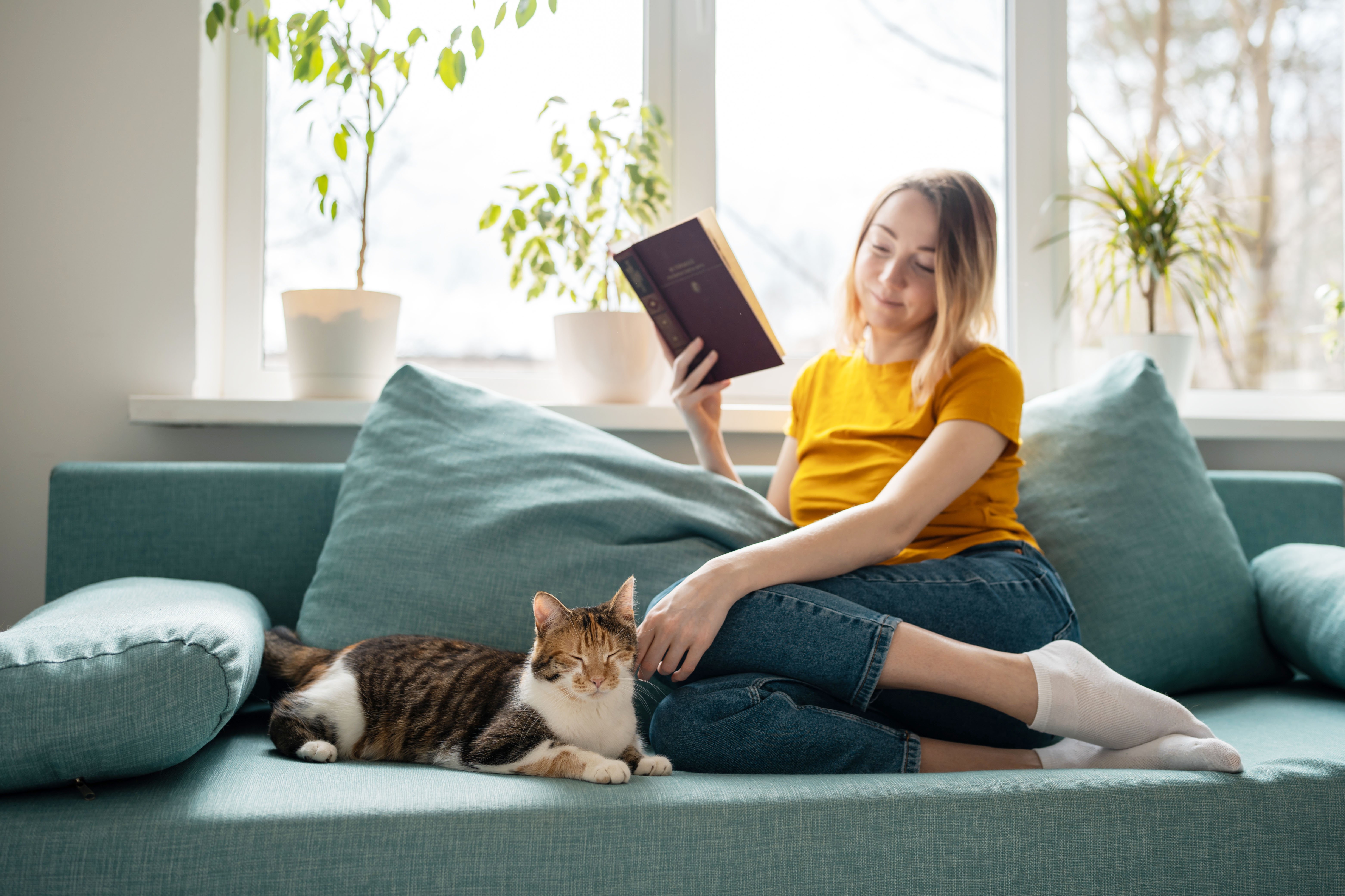 Sitting on the sofa reading with a cat