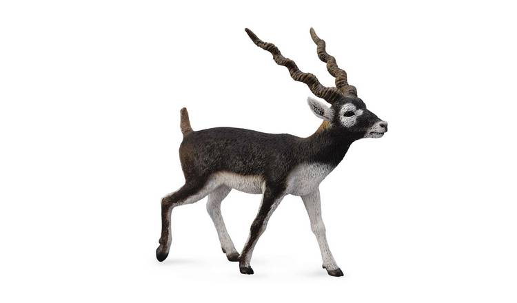 CollectA Blackbuck - 3 Years +