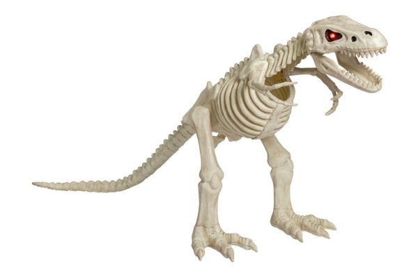 A dinosaur skeleton toy.