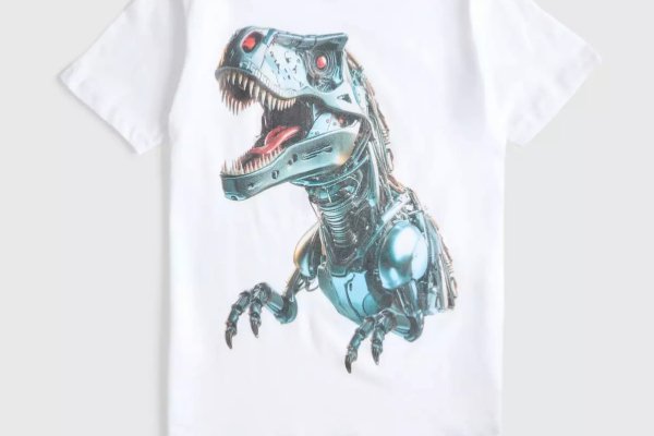 A shirt with a dinosaur and text reading 'I am three'.